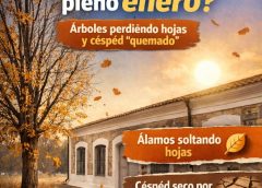 Ojalá esta lluvia intensa cambie los efectos del otoño de enero