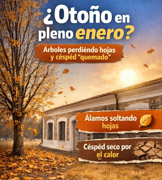 Otoño en Verano