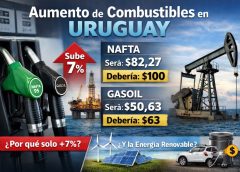 Aumento de combustibles de 7 % debería ser según PPI del 30 %